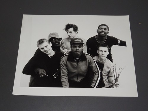 The beat promo foto 25cm - -, promo-foto